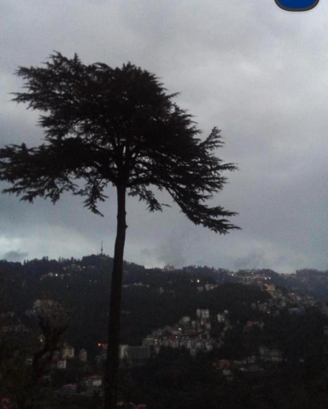 Keshav Niwas Homestay Shimla Exterior foto